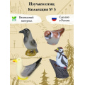 Фото товара - Игровой Набор Изучаем птиц. Коллекция 3 (4шт., в сетке, от 3 лет) В4297, (Весна)