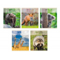 Маленькое фото товара - Тетрадь  96л клетка "Wild animals" ТЛ968377 Listoff. Вариант №1