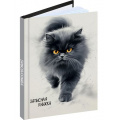 Маленькое фото товара - Записная книжка А6  96л клетка "ПУШИСТЫЙ КОТ - 5" 96-7562 Проф-Пресс. Вариант №1