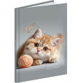 Фото товара - Записная книжка А6 64л "КОТЁНОК С КЛУБКОМ" глянц.лам. ЗК64-0782 Проф-Пресс