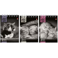 Фото товара - Блокнот на спирали А7 40л клетка "КОШКИ" 3 вида 3-40-007 Альт