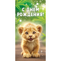 Фото товара - 5Д3057 С Днем рождения! (конверт для денег, текст, детский), (АВ-Принт)