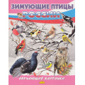 Маленькое фото товара - ОбучающиеКарточки Зимующие птицы России (18 карточек, 19*24см, в папке, в пакете), (Литур-К, 2025), Л. Вариант №1