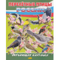 Фото товара - ОбучающиеКарточки Перелетные птицы России (18 карточек, 19*24см, в папке, в пакете), (Литур-К, 2025), Л