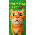 Фото товара - 90002191 Это у тебя тут ДР?! (конверт для денег, текст), (ОткрытаяПланета)