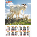 Фото товара - Календарь листовой 2027 А3 Семейка (Символ года) (лак) 3734, (Келинс, 2026), Л