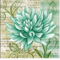 Фото товара - Салфетки бумажные Bouquet Home Collection Classic. Прекрасная хризантема (33*33см, 3-слоя, 20шт.) 37929, (ООО "Русская бумага АЛЛ Продукция")