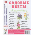 Маленькое фото товара - ЗнакомствоСОкрМиромИРазвРечи Садовые цветы в картинках. Наглядное пособие для педагогов, логопедов, воспитателей и родителей (А4), (Гном и Д, 2023), Обл, c.32. Вариант №1
