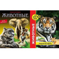 Фото товара - ЭнциклопедияХочуВсеЗнать Животные (красная) (2 вар.обл.), (Проф-Пресс, 2019), 7Бц, c.48