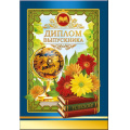 Маленькое фото товара - 5352085 Диплом выпускника (папка, текст, фольга), (Хорошо). Вариант №1