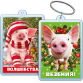 Фото товара - 5155270 Брелок акриловый "Волшебства! Везения!" (Символ Года), (Хорошо)