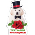 Фото товара - 5156275 Виниловый магнит "Гляжу на тебя...", (Хорошо)