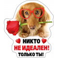 Фото товара - 5156276 Виниловый магнит "Никто не идеален!..", (Хорошо)