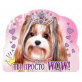 Фото товара - 152000563 Виниловый магнит "Ты просто wow!" (вырубка), (Хорошо)