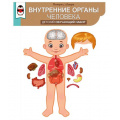Маленькое фото товара - 5938500 Обучающий набор "Внутренние органы человека" (плакат, А1, 10 магнитных деталей, вырубка, на скотче), (ИмперияПоздр). Вариант №1