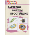 Фото товара - ШкольныйСловарикФГОС Бактерии, вирусы, простейшие (Петрушина Е.С.), (ВАКО, 2022), Обл, c.64