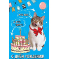 Фото товара - 1804263 С Днем рождения! Это кот, а это торт! (открытка, текст), (Праздник)