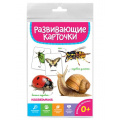Маленькое фото товара - РазвивающиеКарточки Насекомые (20 карточек) (от 0 лет), (Проф-Пресс, 2023), К. Вариант №1
