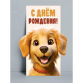 Фото товара - 5Д2781 С Днем Рождения! (конверт для денег, текст, вырубка, детский), (АВ-Принт)