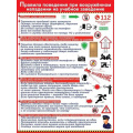 Маленькое фото товара - 3001691 Плакат "Правила поведения при вооруженном нападении на учебное заведение" (596*440мм, текст), (Праздник). Вариант №1