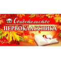 Маленькое фото товара - D212 Свидетельство первоклассника (текст), (ФДА). Вариант №1