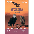 Фото товара - МирВКартинках Птицы хищные. Наглядно-дидактическое пособие (от 3 до 7 лет) (А4, 8 листов) (в папке) ФГОС ФОП, (Мозаика-Синтез, 2024), К, c.8