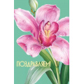 Фото товара - 059956 Поздравляем! (открытка, текст, блестки), (МирПоздр)