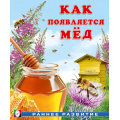 Фото товара - РаннееРазвитие Гурина И.В. Как появляется мед (Арт.34436), (Фламинго, 2025), Обл, c.16