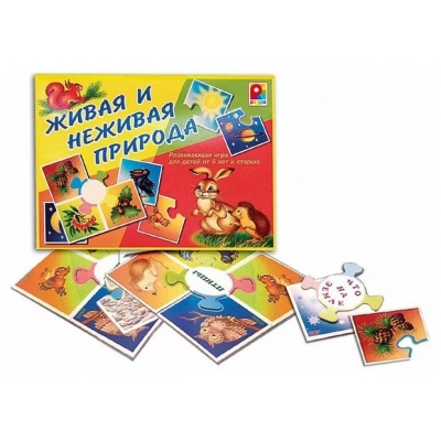 Большое фото товара - Настольная Игра Живая и неживая природа (в коробке, от 5 лет) С-349, (ОАО "Радуга"), 11-99345. Вариант №1
