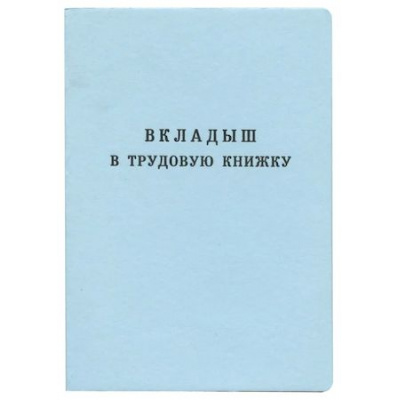 Большое фото товара - Бланк Вкладыш "Трудовая книжка" 2023 год Гознак, 12-166832. Вариант №1