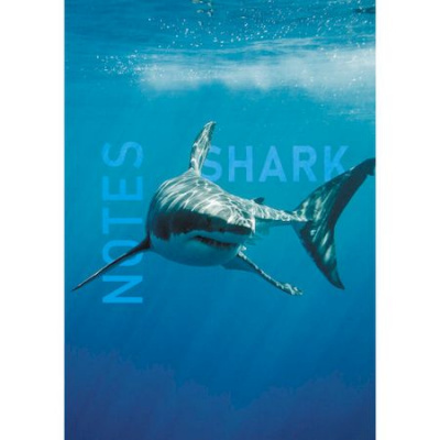 Большое фото товара - Записная книжка А5  80л клетка ЛАЙТ "Shark" ЕТИ580539 глянцевая ламинация Listoff, 12-175593. Вариант №1
