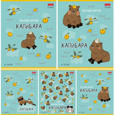 Большое фото товара - Тетрадь  48л клетка "Реально крутой Капибара" (084659) Хатбер, 12-179720. Вариант №1