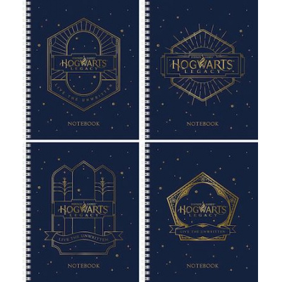 Большое фото товара - Тетрадь  48л клетка на спирали "Hogwarts Legacy-Гарри Поттер" (082668) Хатбер, 12-180938. Вариант №1