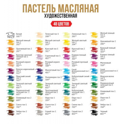 Большое фото товара - Пастель художественная масляная 48цв Limited edition VAOPL-48 VISTA-ARTISTA, 12-181187. Вариант №1