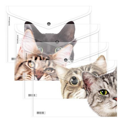 Большое фото товара - Папка с кнопкой  А4 140мкм 61155 Hiding Cats полупрозрачная, ассорти ErichKrause, 12-181969. Вариант №1
