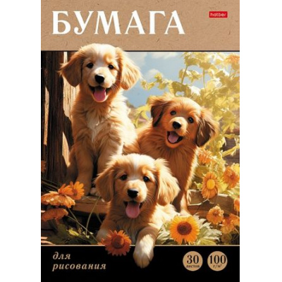 Большое фото товара - Папка для рисования А4 30л "Мягкие ушки" 100г/м2 (085635) 31153 Хатбер, 12-184862. Вариант №1