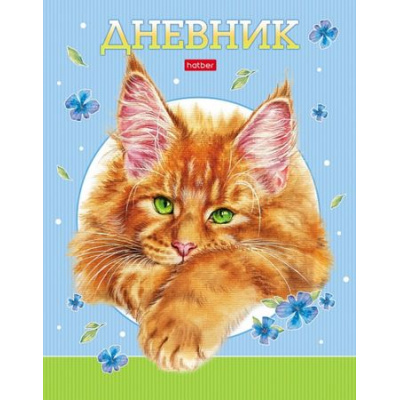 Большое фото товара - Дневник 1-11 класс (твердая обложка) "Рыжий котик" (085747) 29844 Хатбер, 12-184980. Вариант №1