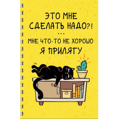 Большое фото товара - Тетрадь А4  60л клетка на спирали пластиковая обложка "День кота (Эксклюзив)" ТПС4605207 Listoff, 12-186863. Вариант №1