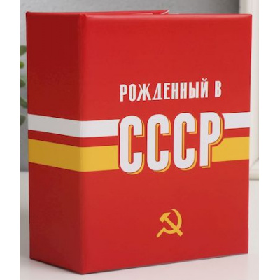 Большое фото товара - Фотоальбом 10х15 на 100 фотографий пластик. листы "USSR time" СССР FA 100.021-1, 12-187279. Вариант №1