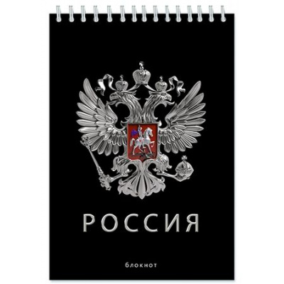 Большое фото товара - Блокнот на спирали А5 48л клетка "Россия" С0028-167 АппликА, 12-198866. Вариант №1