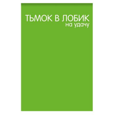 Большое фото товара - Блокнот А7 40л клетка "Тьмок в лобик на удачу" 65х98мм 77291 Centrum, 12-202209. Вариант №1