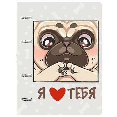 Большое фото товара - Тетрадь со сменным блоком 100л клетка на 4 кольцах "Я люблю тебя" ТКФ1005510 Listoff, 12-205125. Вариант №1