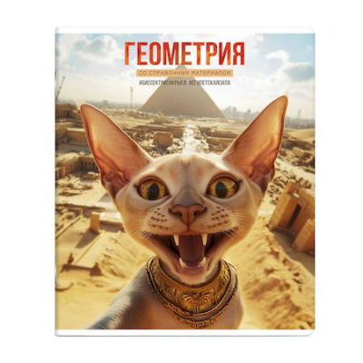 Большое фото товара - Тетрадь  48л "СЕЛФИ" по геометрии 69836 Феникс, 12-207339. Вариант №1