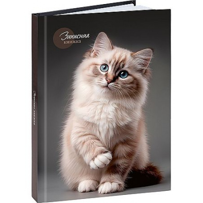 Большое фото товара - Записная книжка А5 160л "КРАСИВЫЙ КОТ - 1" глянц.лам.,лен 160-9424 Проф-Пресс, 12-208182. Вариант №1