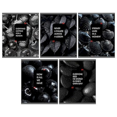 Большое фото товара - Тетрадь  48л клетка "Натуральный черный цвет/Natural Black" ТКЛ489677 Listoff, 12-208791. Вариант №1