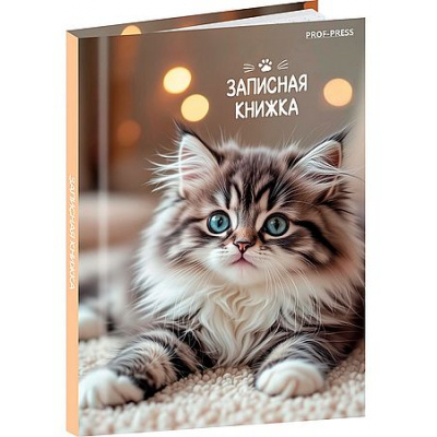 Большое фото товара - Записная книжка А7 64л клетка "МИЛЫЕ КОТЯТА - 6" 64-8639 Проф-Пресс, 12-209618. Вариант №1