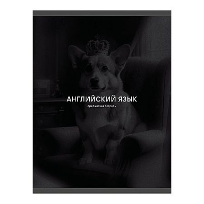 Большое фото товара - Тетрадь 40л "Черная сепия/Black Sepia" по английскому языку ТТ409760 Listoff, 12-210019. Вариант №1
