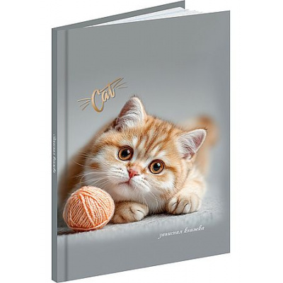 Большое фото товара - Записная книжка А6 64л "КОТЁНОК С КЛУБКОМ" глянц.лам. ЗК64-0782 Проф-Пресс, 12-210418. Вариант №1