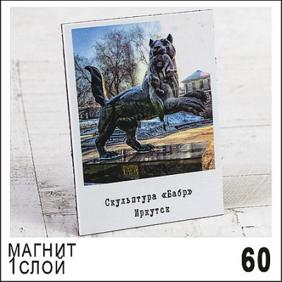 Большое фото товара - Магнит "Иркутск Поларойд винил" 8,5х6,5  см Г65/060 ТОМГРАД, 12-211746. Вариант №1