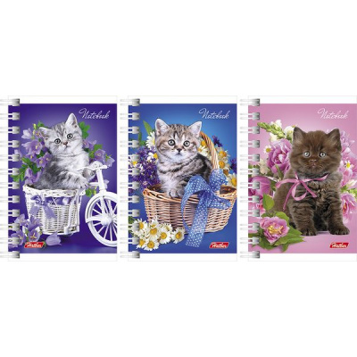 Большое фото товара - Записная книжка на спирали А7 40л клетка "Нежные котята" (043279) Хатбер, 12-88156. Вариант №1